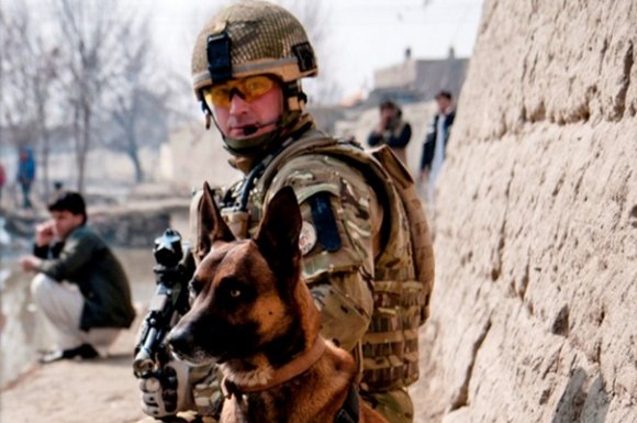 1st Military Working Dog Regiment